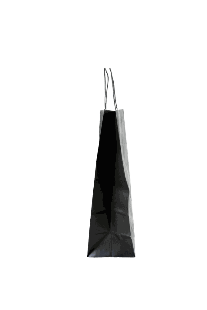 010322-Bolsas-de-papel-celulosa-negras-asa-rizada-22-x-10-x-29-cm-25-unidades-tridecor
