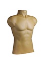 Busto masculino color carne