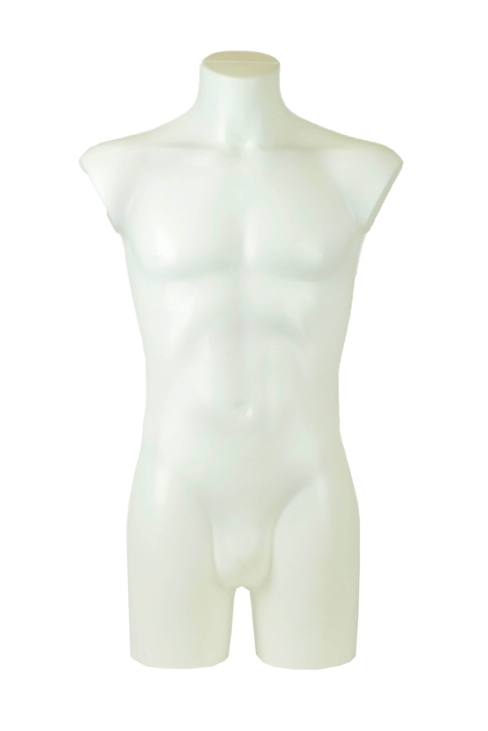 Busto masculino blanco de plástico de tamaño medio