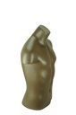 Busto masculino de fibra de vidrio marrón dorado