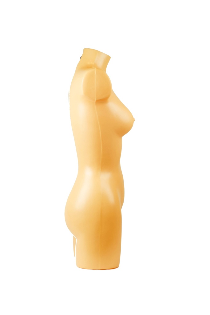 Busto de medio cuerpo de una mujer de color carne