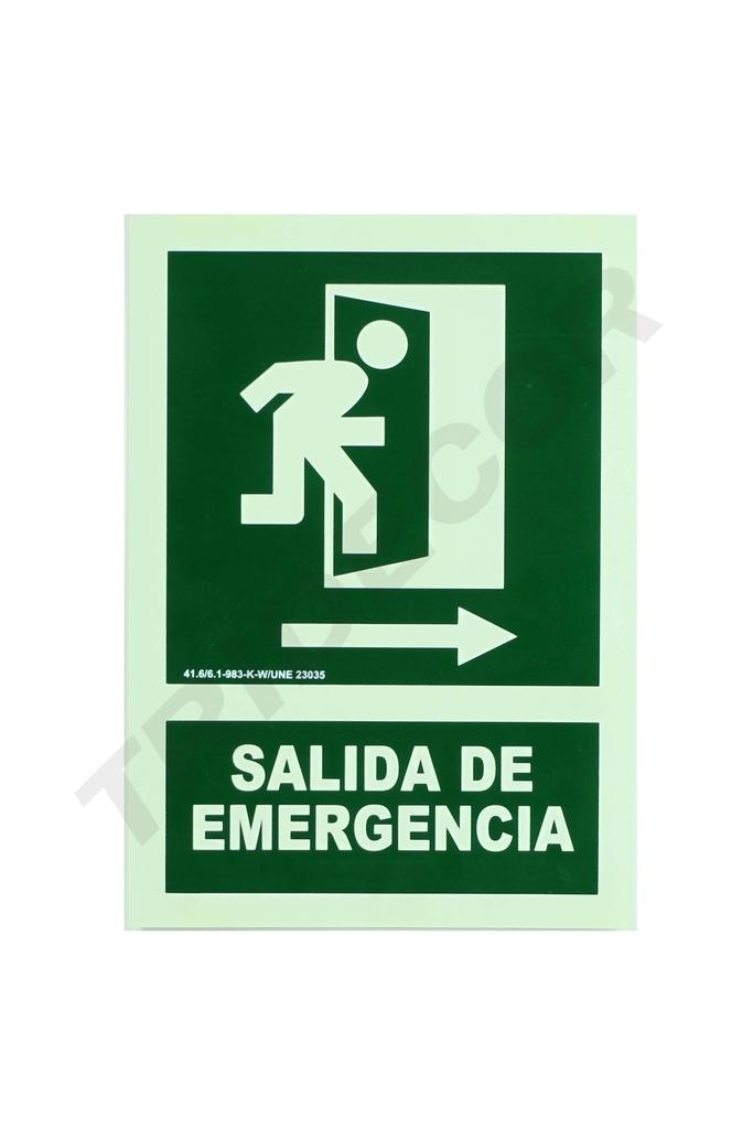 SEÑAL DE SALIDA DE EMERGENCIA 21X30 CM