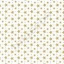 Papel de Seda Blanco con Estrellas Doradas 75X50cm 100 unidades