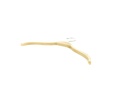 005085-Perchas-de-Madera-para-Niños-con-Antideslizante-32-cm-5-unidades-tridecor
