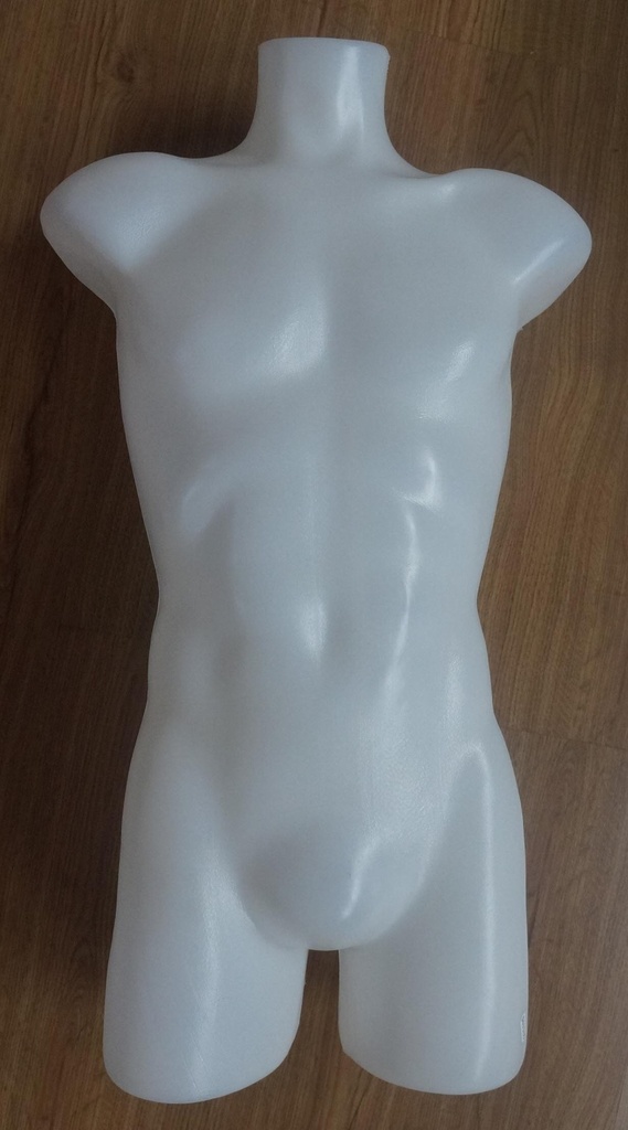 Busto masculino blanco de plástico de tamaño medio