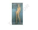 040790-Maniquí-de-mujer-realista-sin-pelo-tridecor