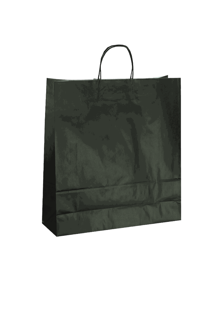 010323-Bolsas-con-asa-rizada-27-x-12-x-37-cm-color-negro-25-unidades-tridecor