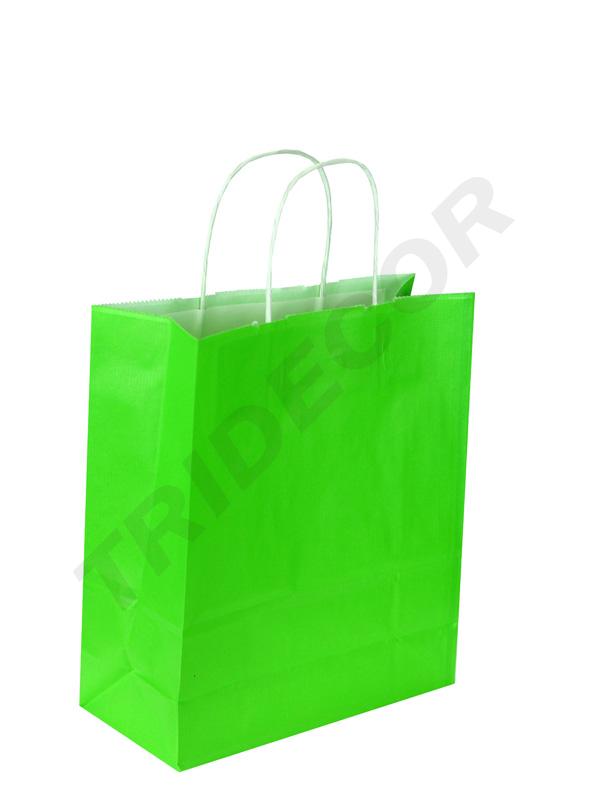 010001-Bolsas-de-papel-asa-rizada-29-x-22-x-10-cm-verde-claro-tridecor