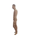 Maniquí de Hombre Realista Color Carne Sm-6054