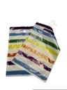 0101087-Bolsas-de-plástico-25-x-35-cm-arcoíris-100-unidades-tridecor