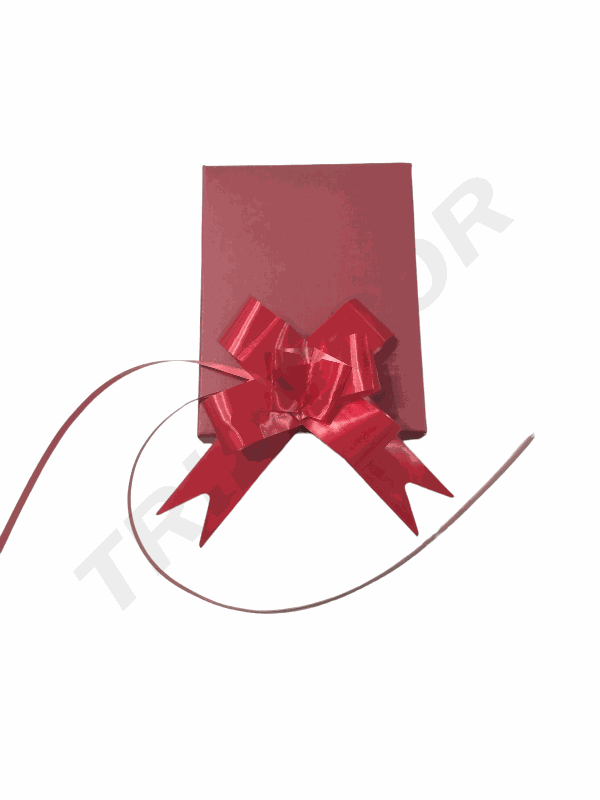 Lazo Rojo Ancho Color Liso