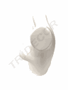 040393-Busto-superior-de-mujer-en-plástico-blanco-tridecor