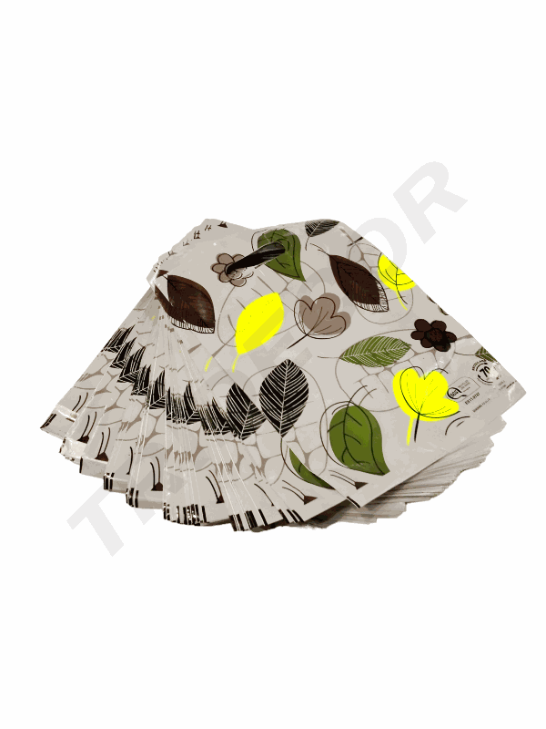 0101084-bolsas-de-plástico-25-x35-cm-hojas-100-unidades-tridecor