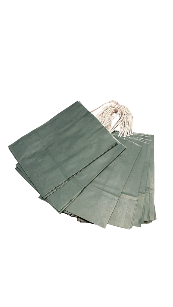 Bolsas De Papel Kraft Asa Rizada 27X22X10 Cm Color Verde