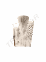 Busto Madera Acabado Forma Antiguo De 20Cm Para Mostrar collares