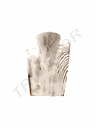 Busto de 20cm