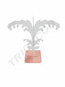 Small Black Palm Tree