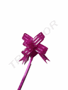 粉色条纹丝带 la zo Fucsia Fino Con Rallas 