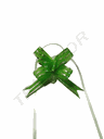Fine Green Ribbon with Stripes and Scales