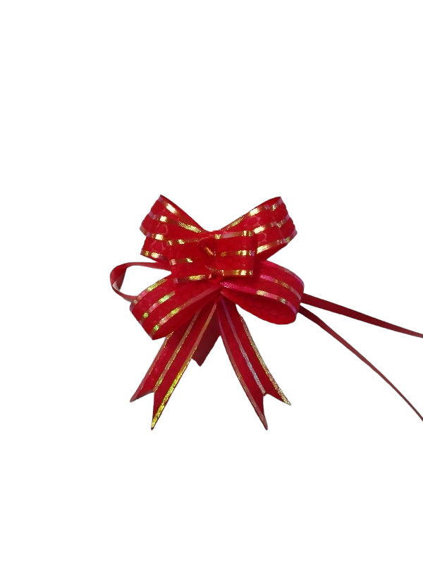 Fine Red Bow with Stripes and Scales