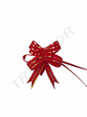 红色细条纹丝带 la zo Rojo Fino Con Rallas y Escamas