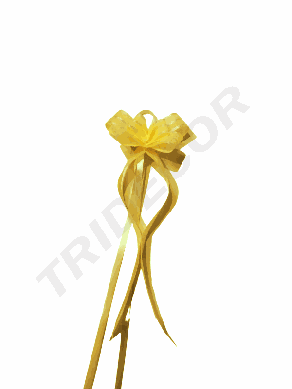 细黄色条纹蝴蝶结 la zo Amarillo Fino Con Rallas 