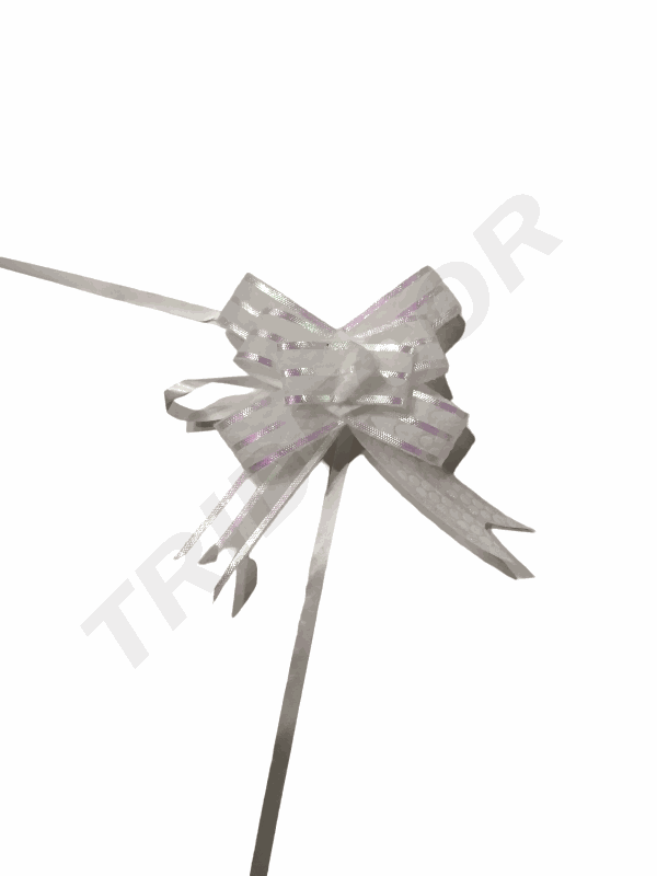 白色丝带条纹状 la zo Blanco Fino Con Rallas 