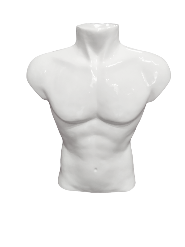 Busto De Hombre Medio Cuerpo Blanco Brillo