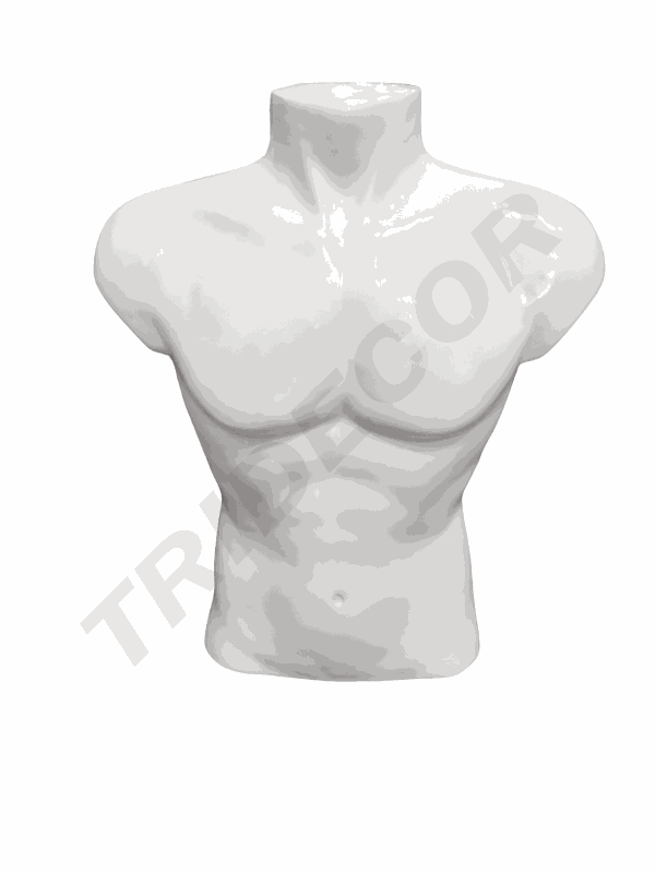 Half Body Man Bust Gloss White