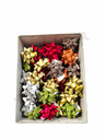 Adhesive Stars Various Colors with Glitter 15mm/50pcs 31245/68245
