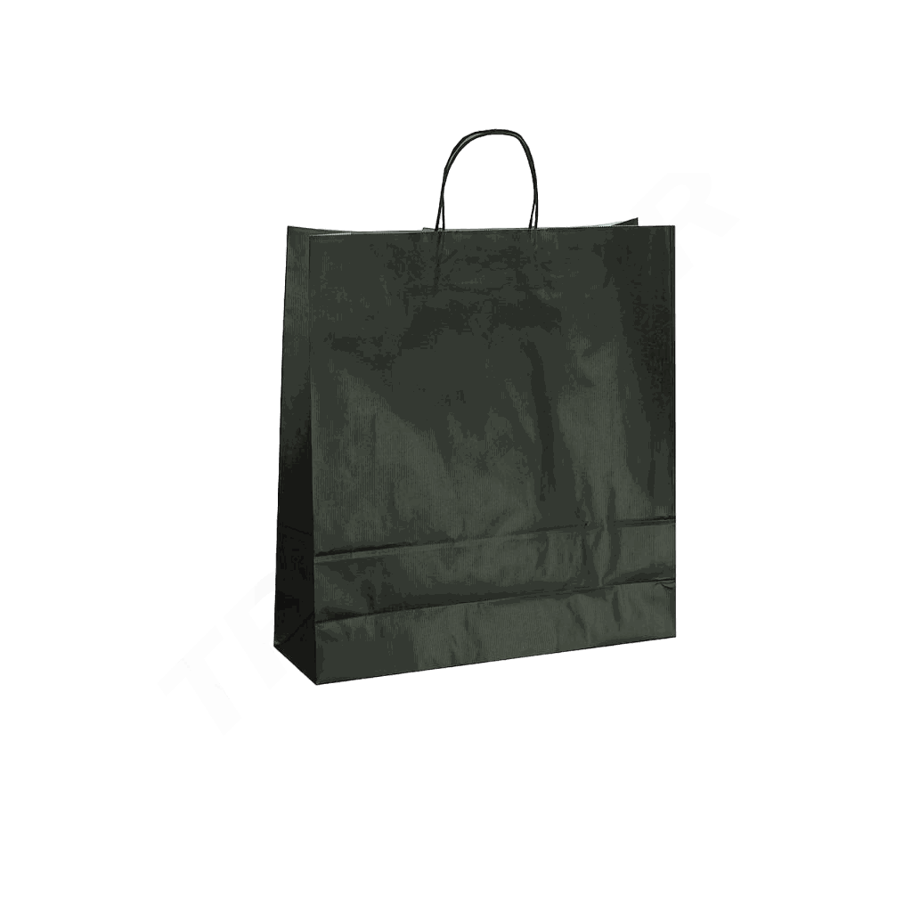 Black Paper Bag with Curly Handle 22X10X29 CM - 25 Units