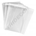 6X8+4CM bag with adhesive flap, 100PCS