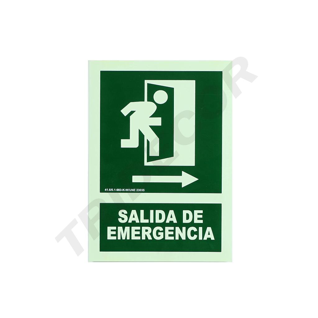 Señal De Salida De Emergencia 21X30 Cm