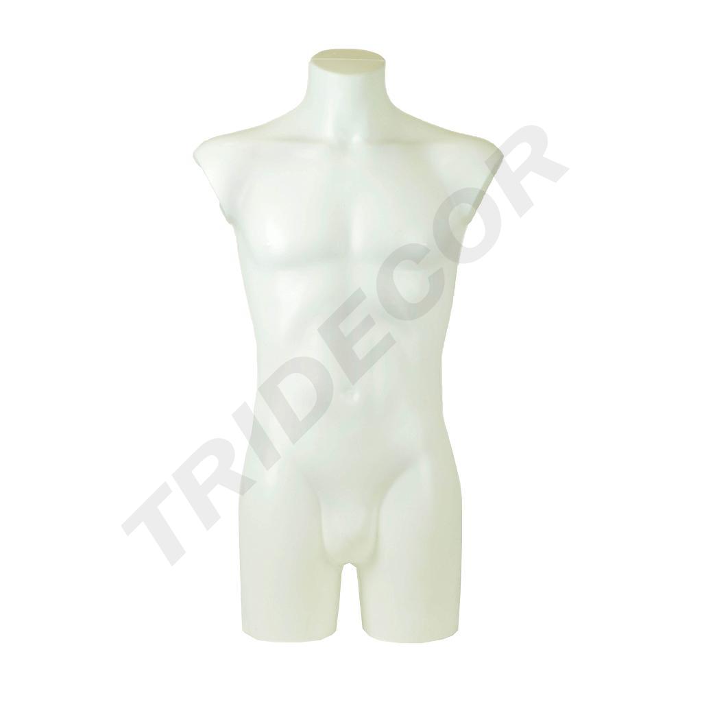 Busto Maschile Bianco di Plastica di Taglia Media