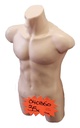 Maniquí Busto De Hombre Plástico Carne 88.5 Cm