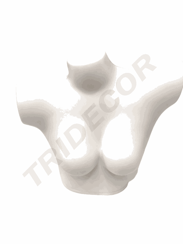Busto Superior de Mujer Color Blanco