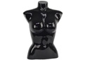 Women's Black Shiny Short Bust