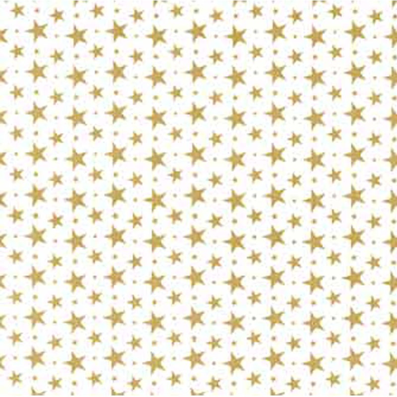 Papel de Tissue Branco com Estrelas Douradas 75X50cm 100 unidades