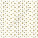 Papel de Tissue Branco com Estrelas Douradas 75X50cm 100 unidades