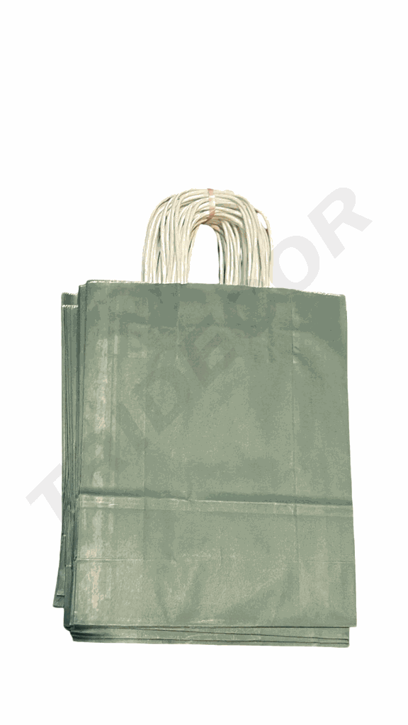 Bolsas De Papel Kraft Asa Rizada 27X22X10 Cm Color Verde