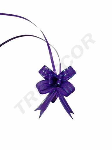[6014829-9] 紫色细条纹丝带 la zo Morado Fino Con Rallas 