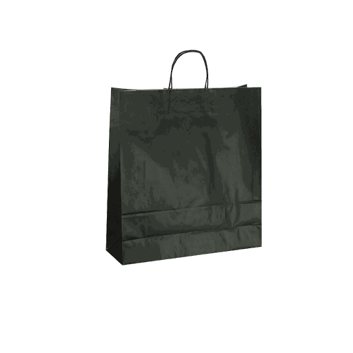 [010322] Borsa di carta nera con manico riccio 22X10X29 CM - 25 unità