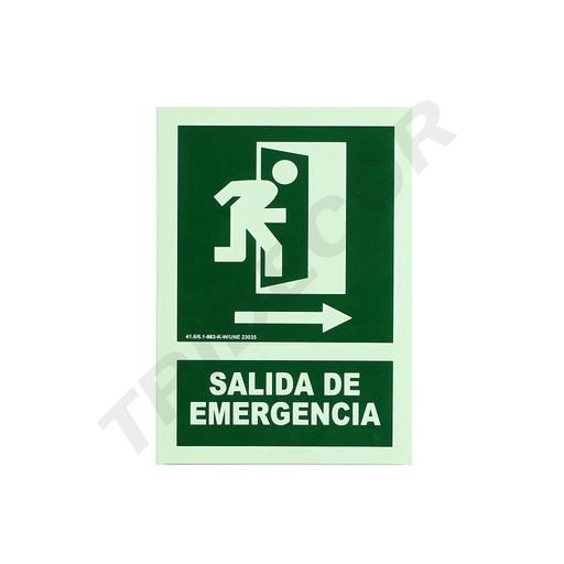 [014191] SEGNALETICA DI USCITA DI EMERGENZA 21X30 CM