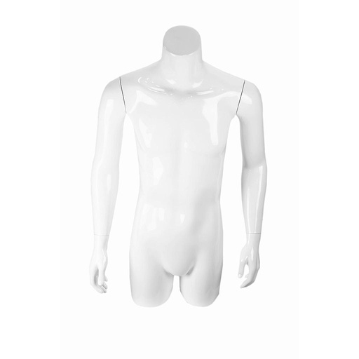 [040267] White lacquered fiberglass male bust with arms