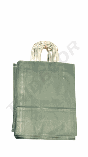 [010007] Borsa in carta Kraft con manico riccio, colore verde, 27X22X10 cm, 25 pezzi
